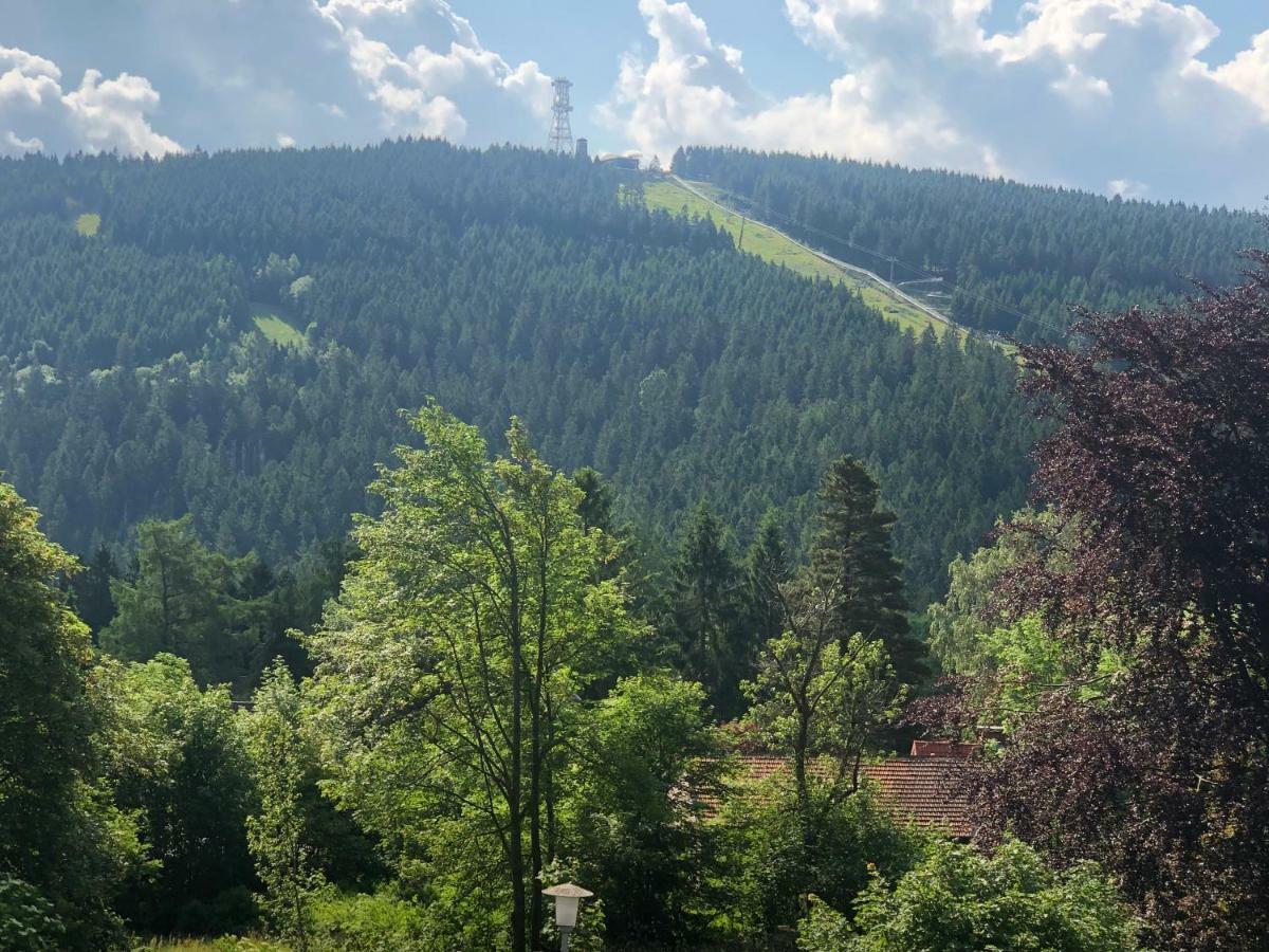 Berghotel Harz Гослар Экстерьер фото